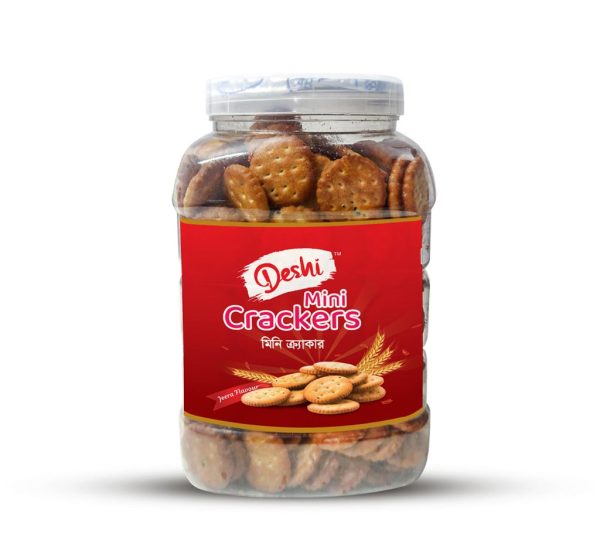 DESHI MINI CRACKERS BISCUIT